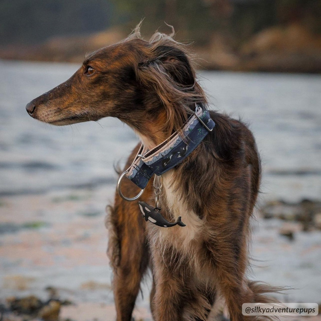 Orca Island Collar