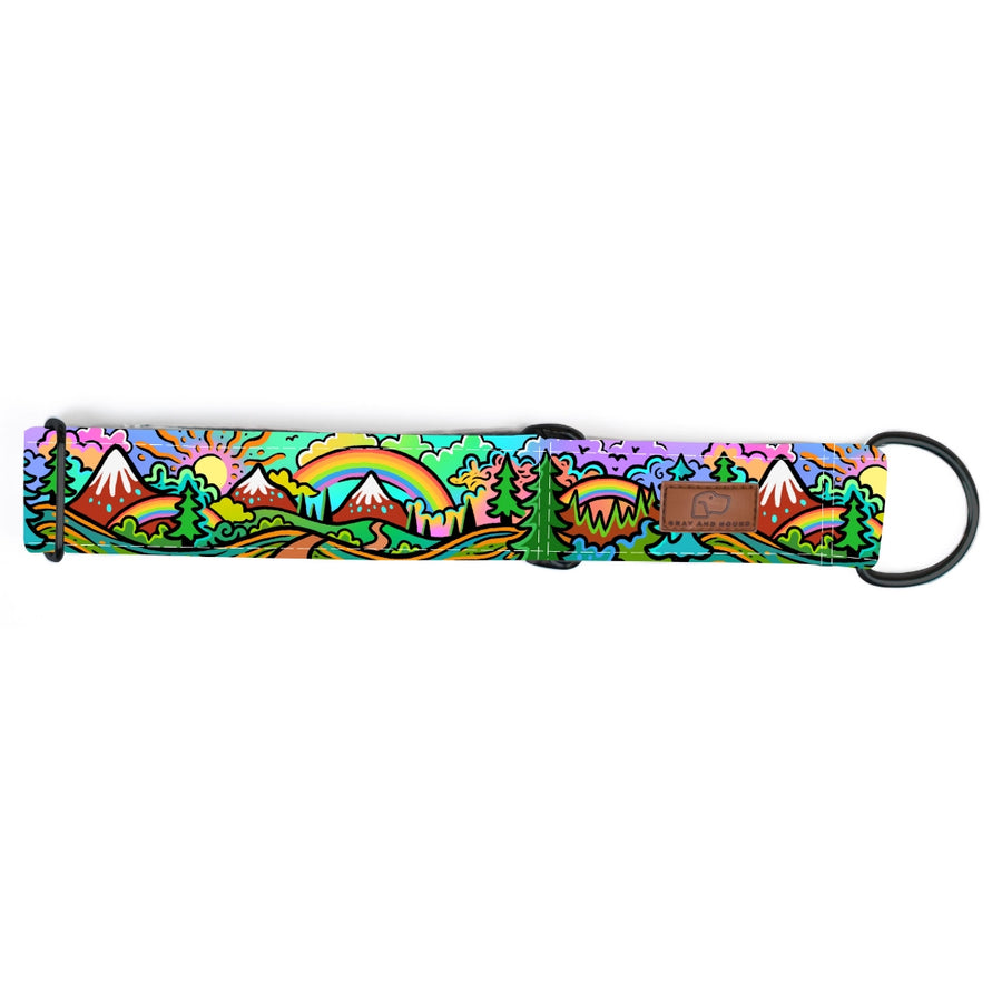 Rainbow Ridge Dog Collar [limited edition]