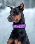 Enchantments in Purple Dog Collar [Limited Edition Artist Series]