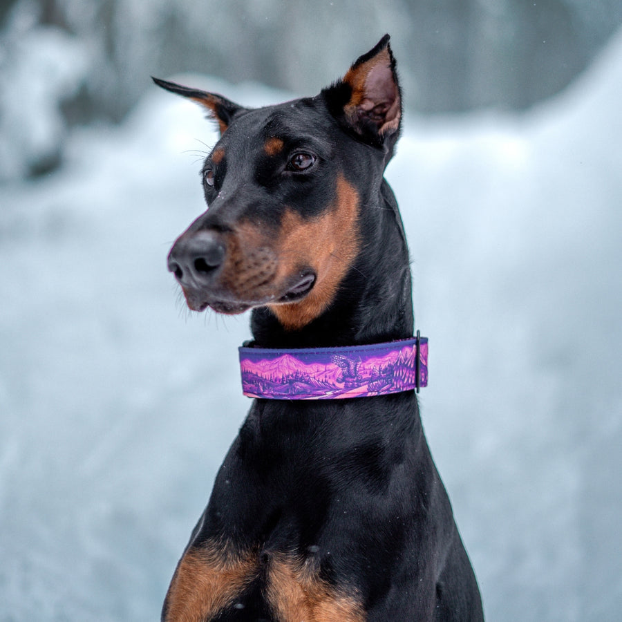 Enchantments in Purple Dog Collar [Limited Edition Artist Series]