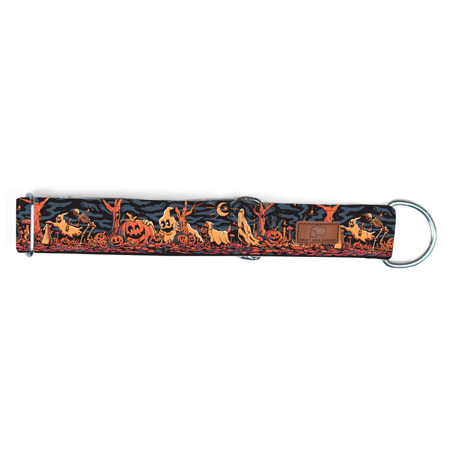 Haunted Hounds Dog Collar [Special Edition Artist Series]