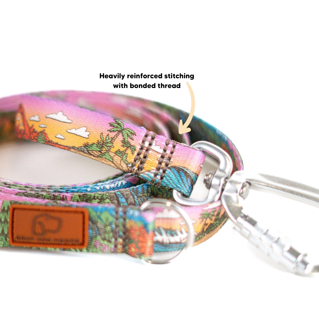 Stroll Dog Leash [pick your design]