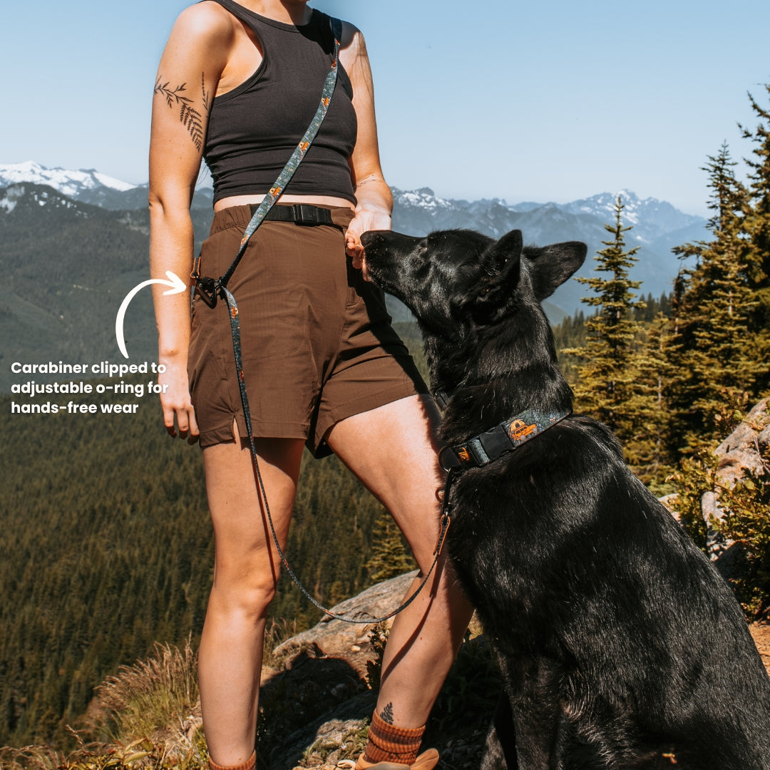 Roam Hands-Free Dog Leash [pick your design]
