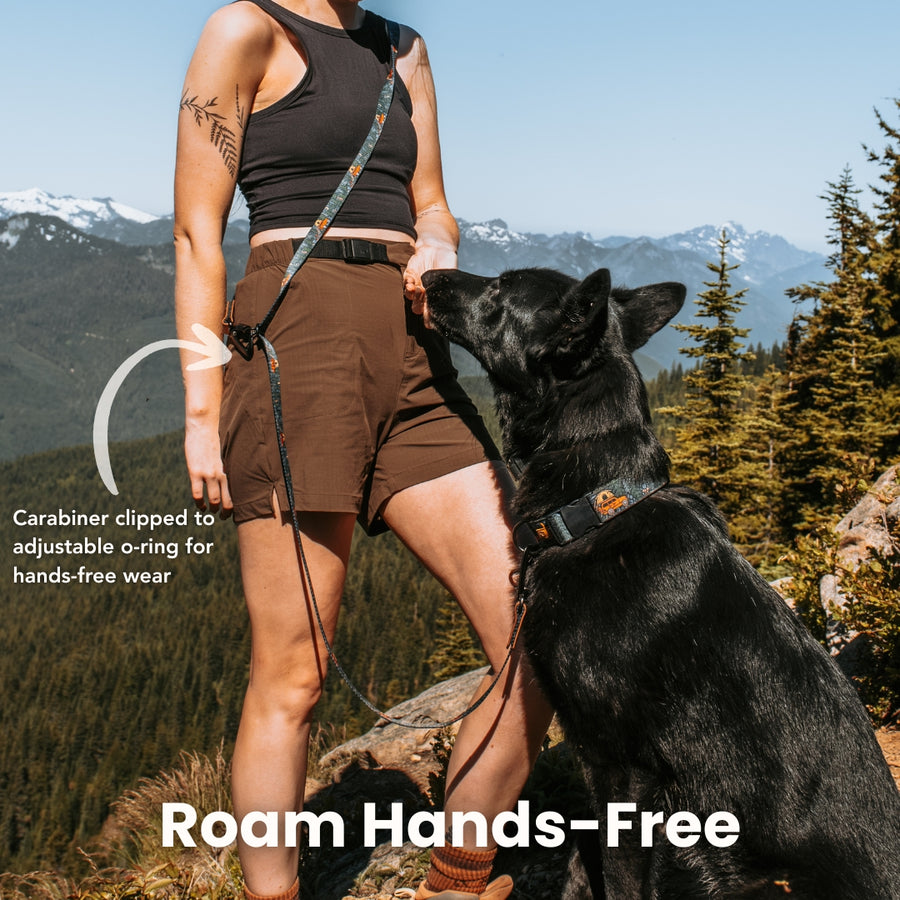 Camp Hollow Dog Leash [artist limited edition]