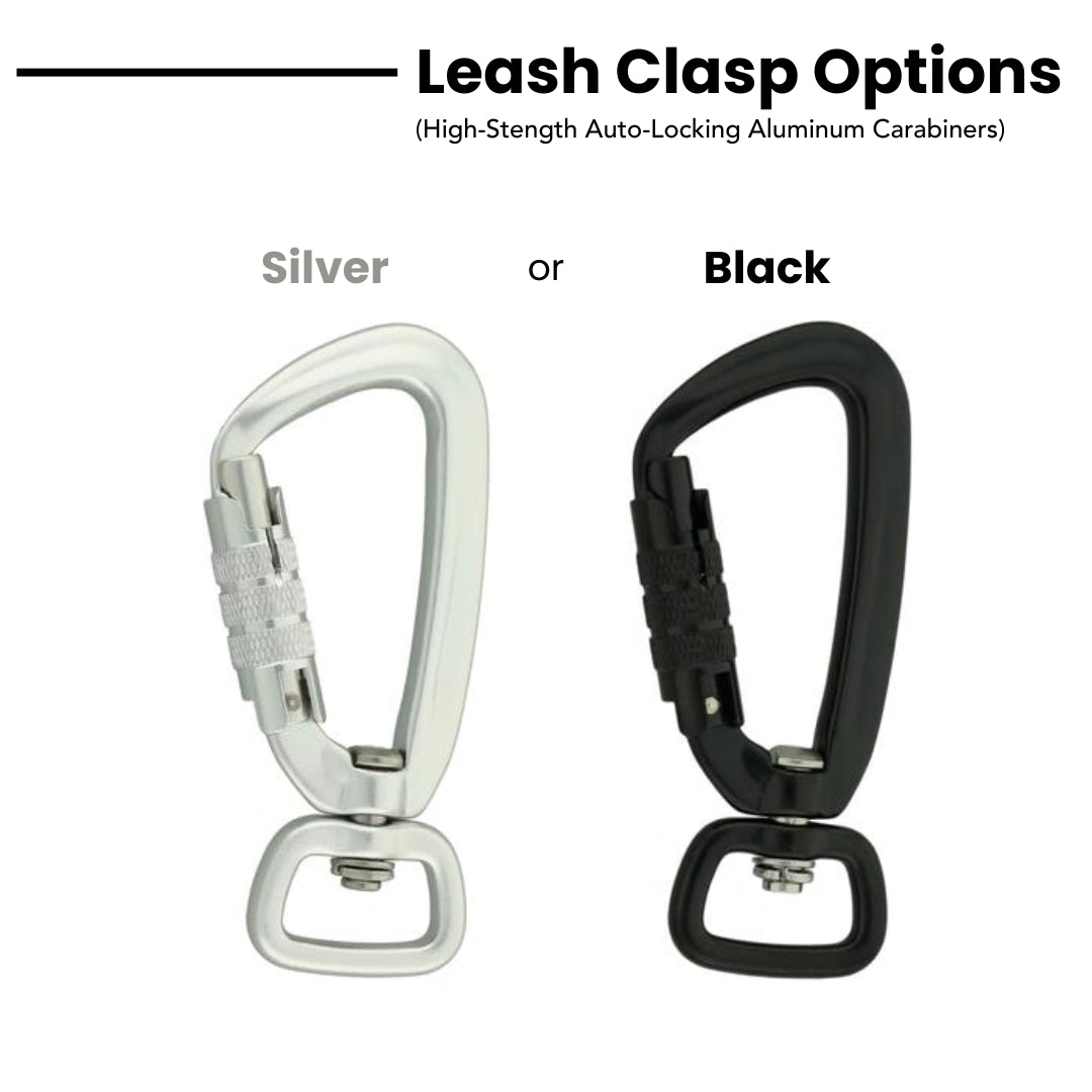 Lava Cascades Dog Leash [artist limited edition]