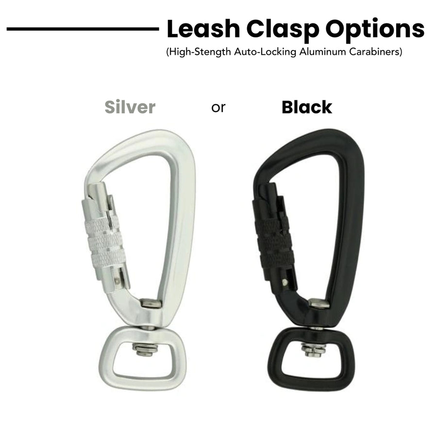 Lava Cascades Dog Leash [artist limited edition]