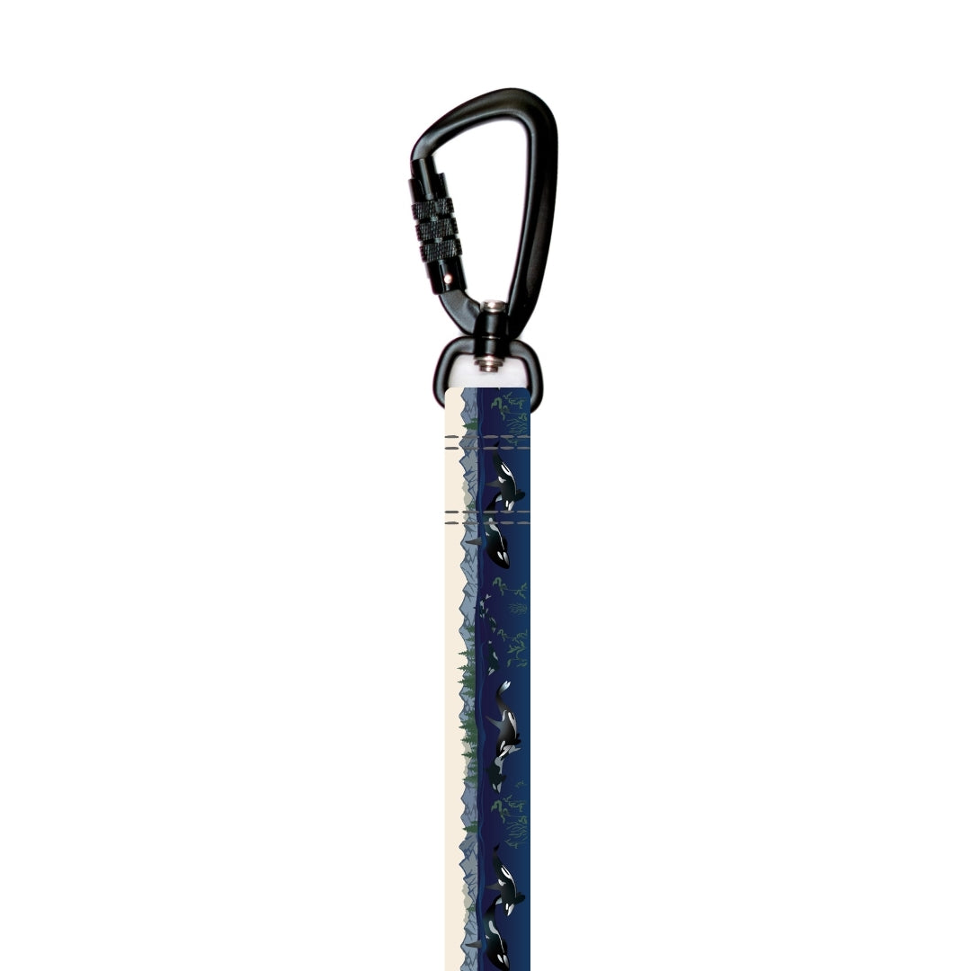 Stroll Dog Leash [pick your design]