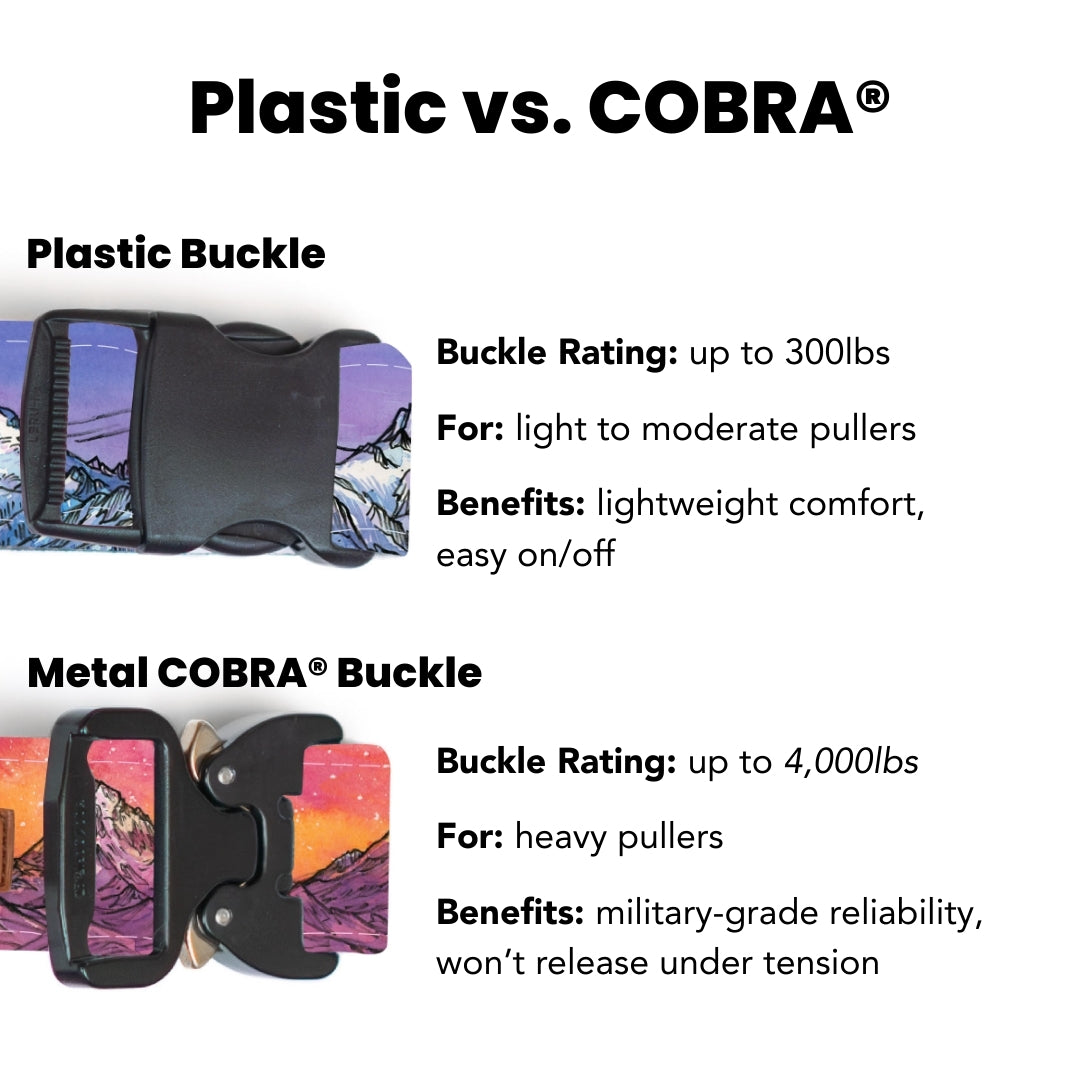 Cascades Hybrid Martingale Dog Collar [choose color]