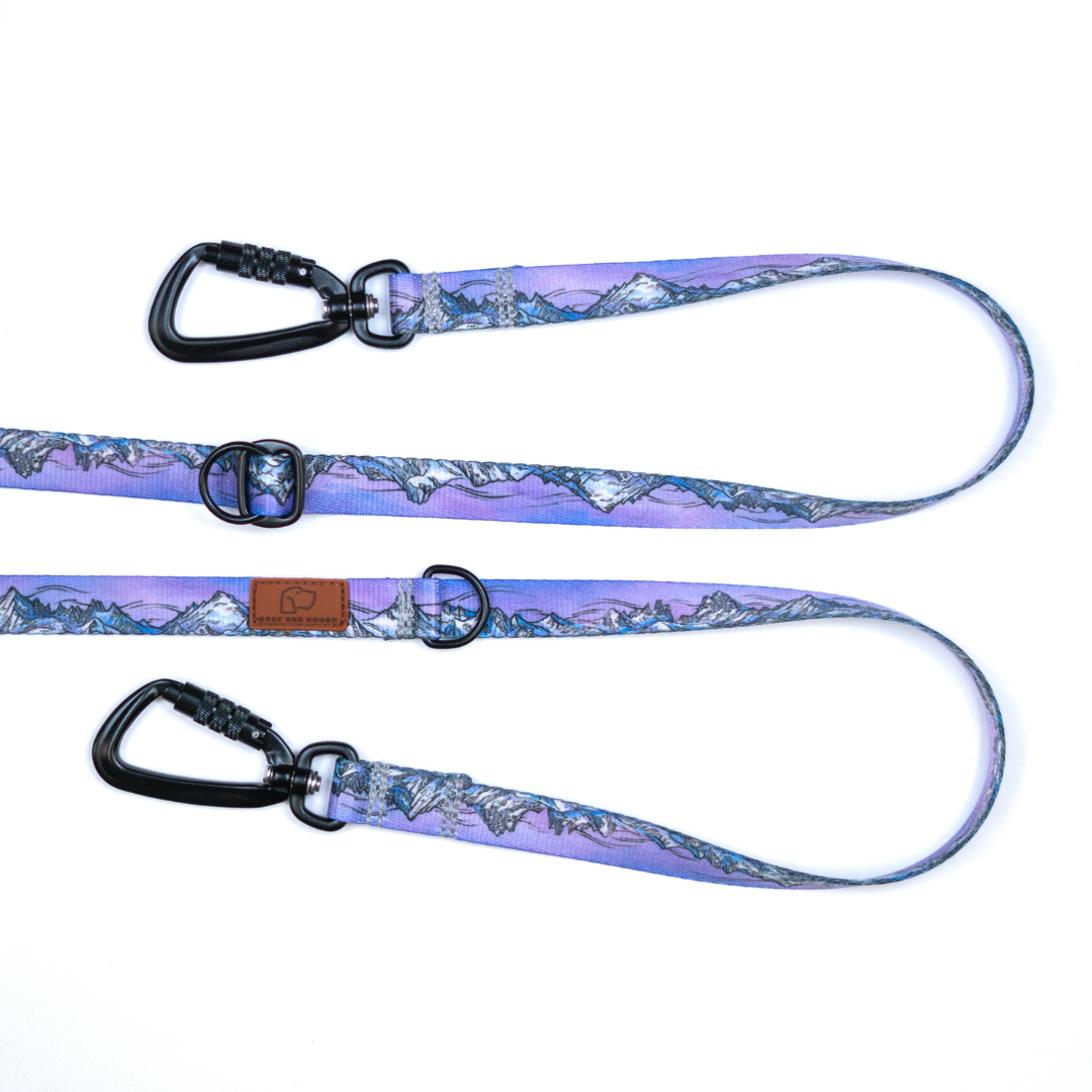 Glacier Cascades Leash