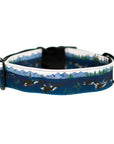 Orca Island Dog Collar