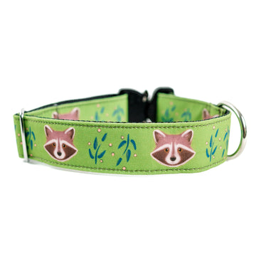 Olive Raccoon Dog Collar