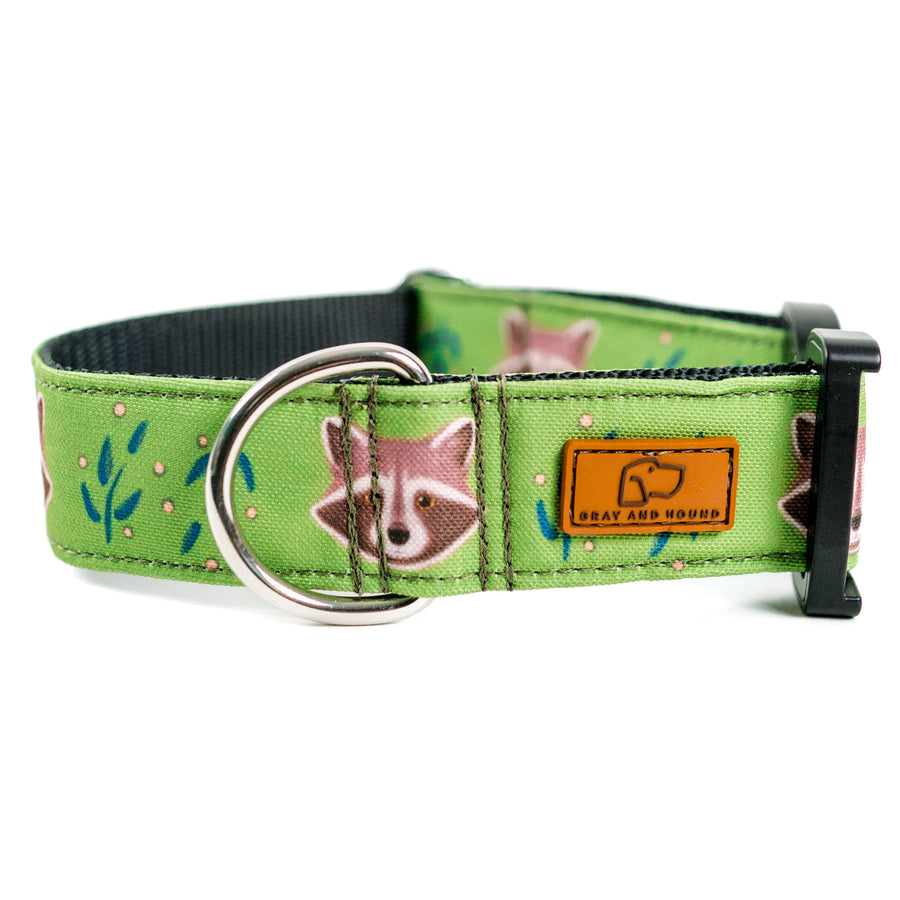 Olive Raccoon Dog Collar