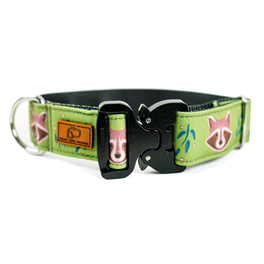 Olive Raccoon Dog Collar