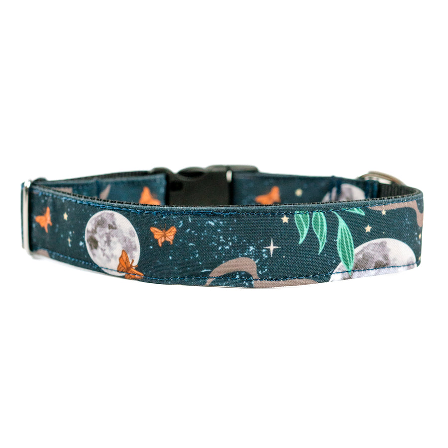Harvest Moon Dog Collar