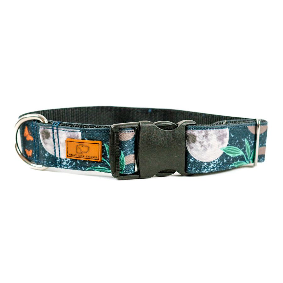 Harvest Moon Dog Collar