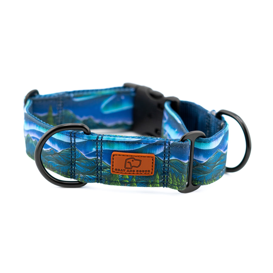 Luminous Peaks Hybrid Martingale Dog Collar | Limited Artist Series