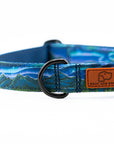 Luminous Peaks Dog Collar | Limited Artist Series