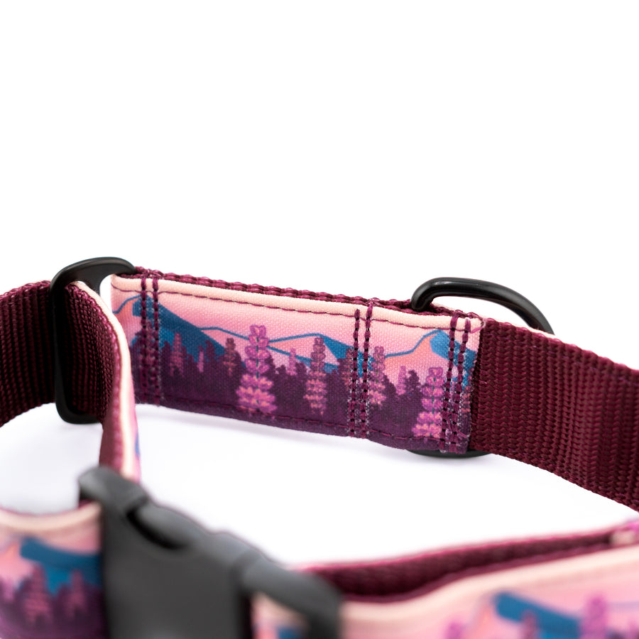 Hybrid Martingale Dog Collar (all designs)