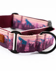 Hybrid Martingale Dog Collar (all designs)