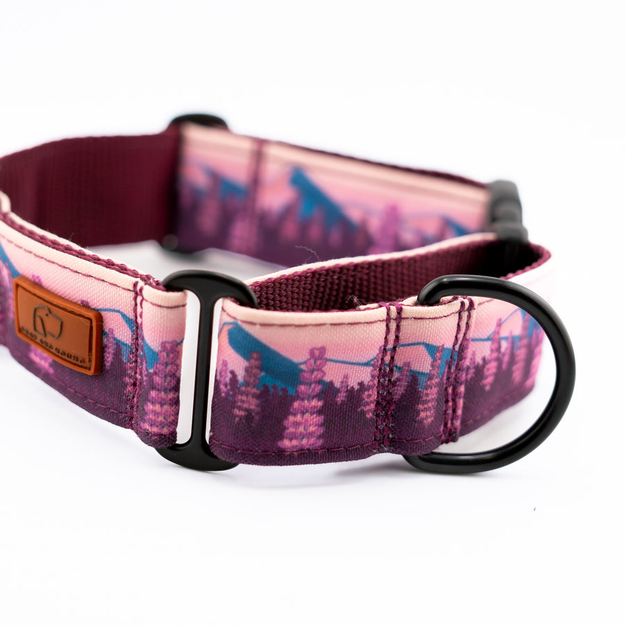 Hybrid Martingale Dog Collar (all designs)