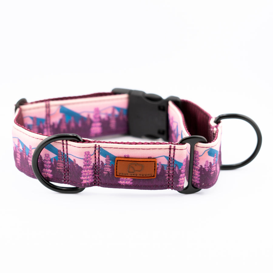 Hybrid Martingale Dog Collar (all designs)