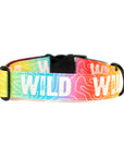 Rainbow Topo Wild Dog Collar [special edition]