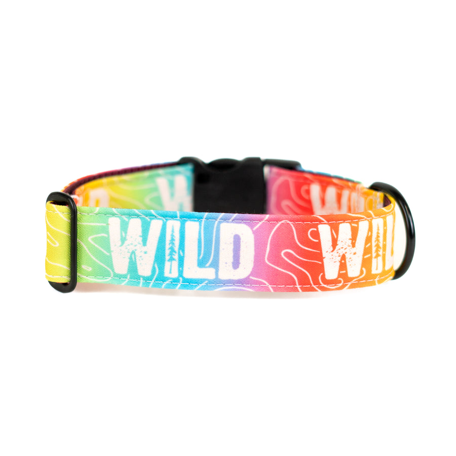 Rainbow Topo Wild Dog Collar [special edition]