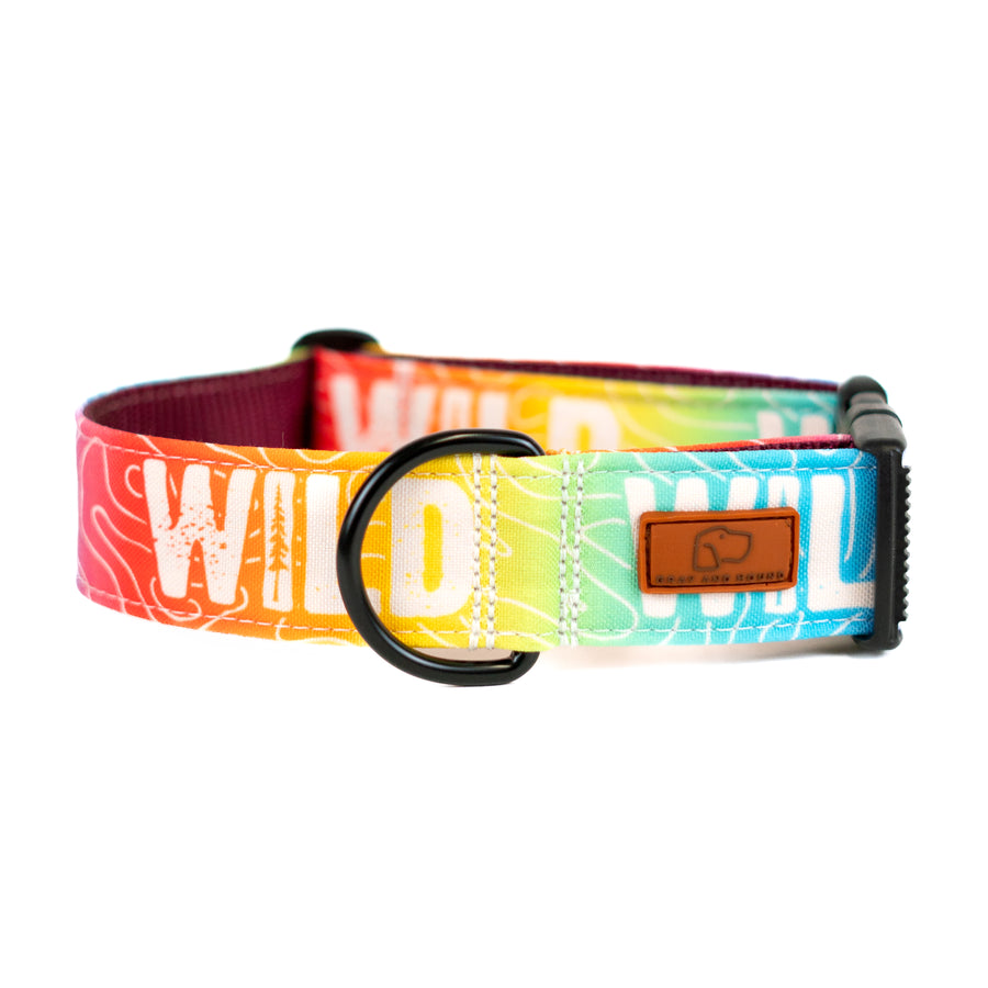 Rainbow Topo Wild Dog Collar [special edition]