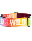 Rainbow Topo Wild Dog Collar [special edition]