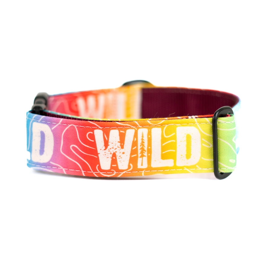 Rainbow Topo Wild Dog Collar [special edition]
