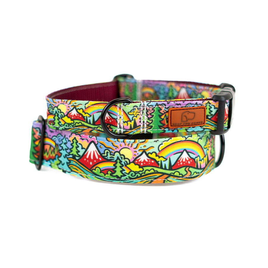 Rainbow Ridge Dog Collar [limited edition]