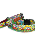 Rainbow Ridge Dog Collar [limited edition]