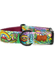 Rainbow Ridge Dog Collar [limited edition]