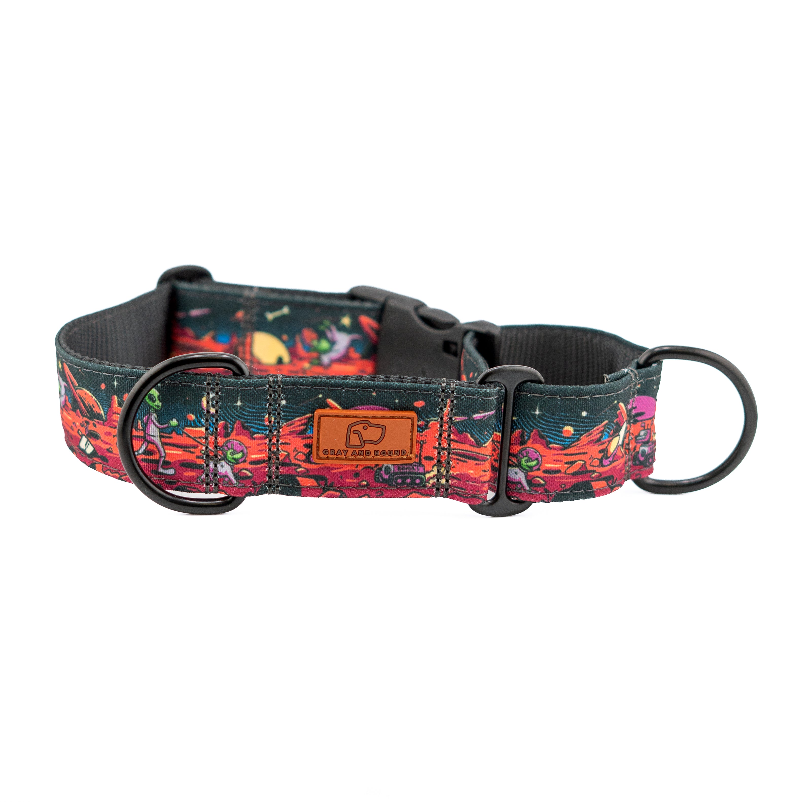 Rover Buckle-On Martingale Collar