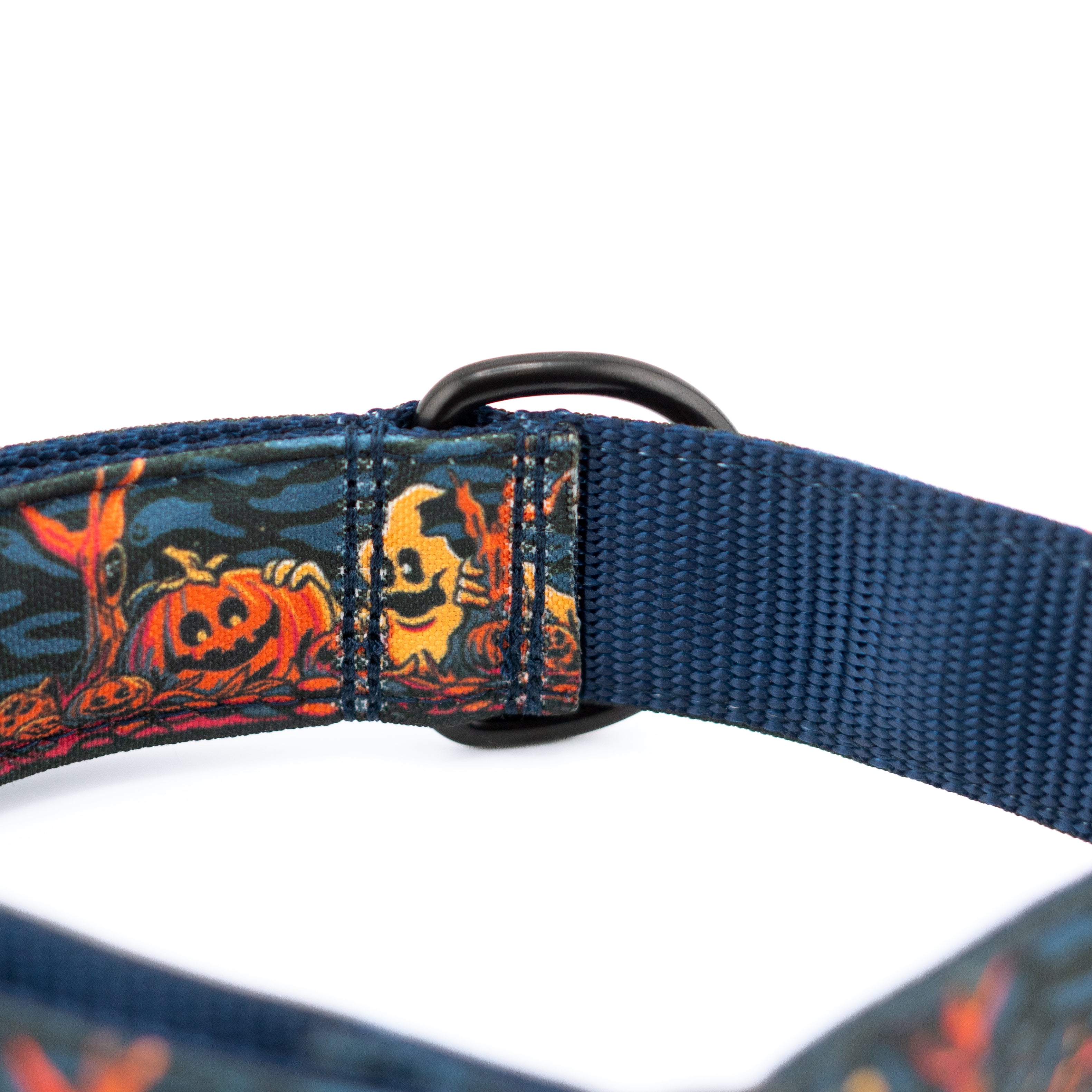 Haunted Hounds Collar