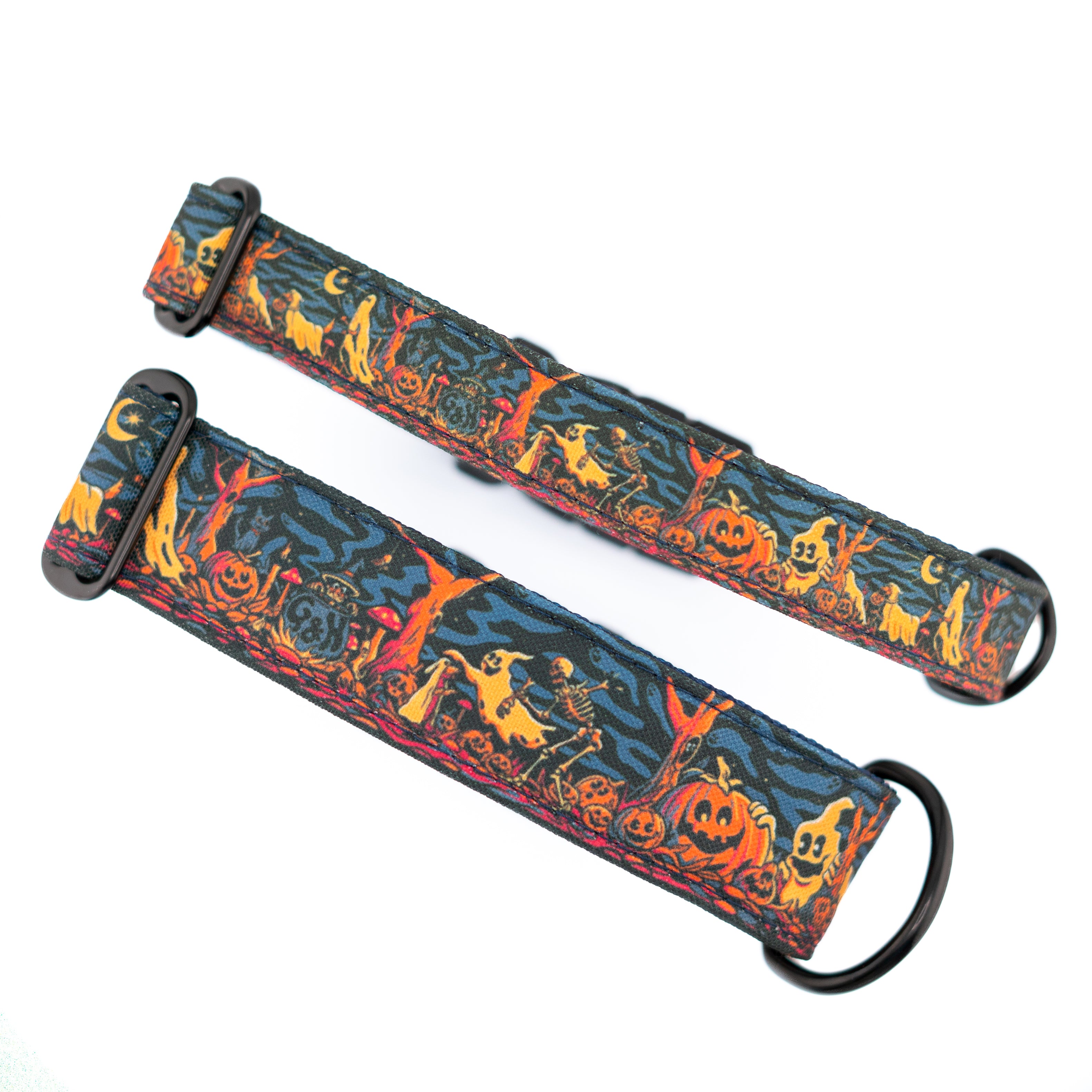 Haunted Hounds Collar