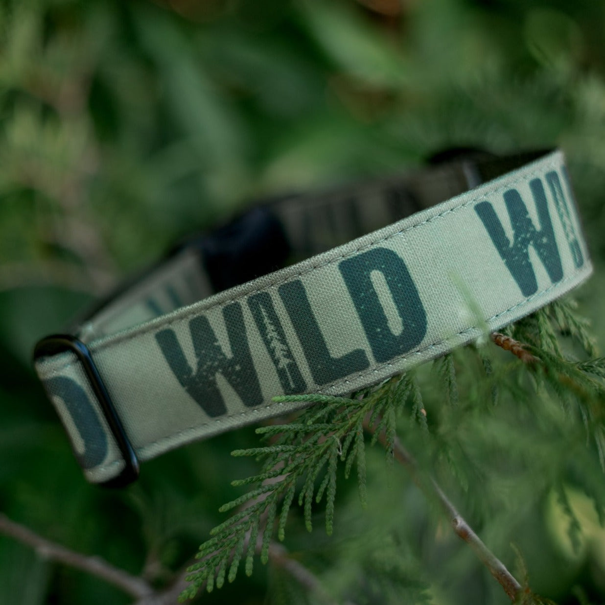 Evergreen Wild Collar