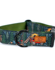 Overland Forest Dog Collar [ready to ship]