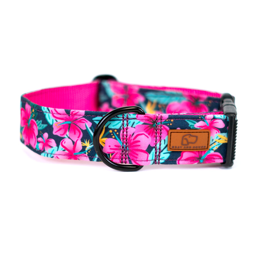 Hibiscus Floral Dog Collar [ready to ship]