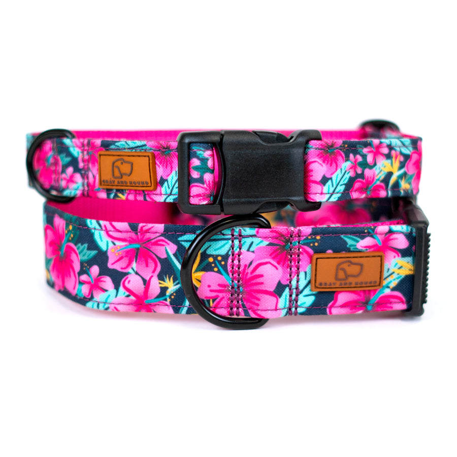 Hibiscus Floral Dog Collar [ready to ship]