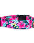 Hibiscus Floral Dog Collar