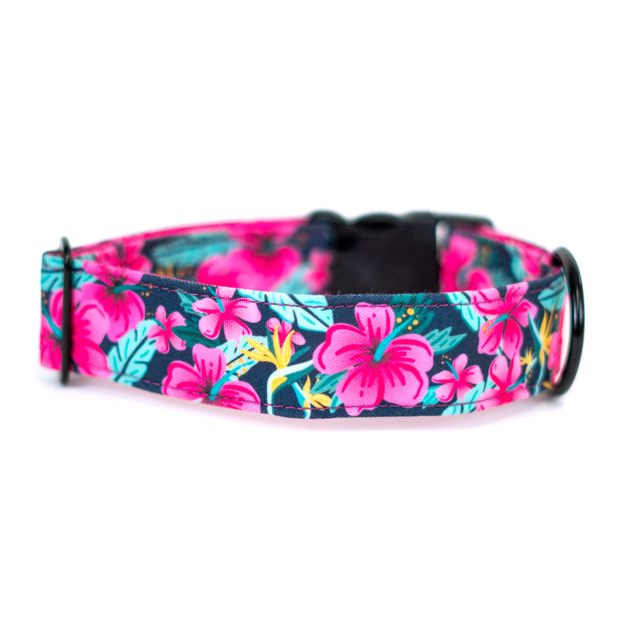 Hibiscus Floral Dog Collar