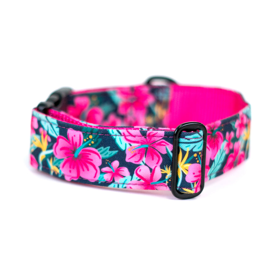 Hibiscus Floral Dog Collar