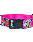 Hibiscus Floral Dog Collar