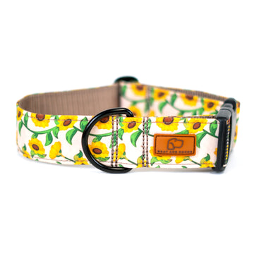 Sunflower Dog Collar