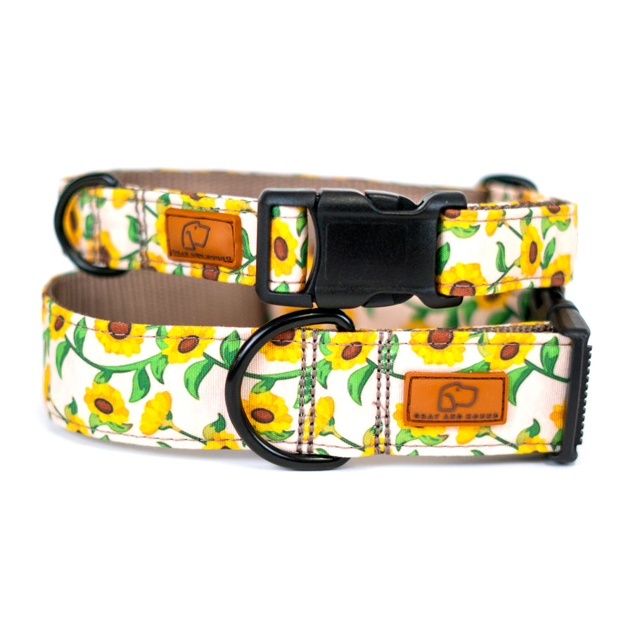 Sunflower Dog Collar
