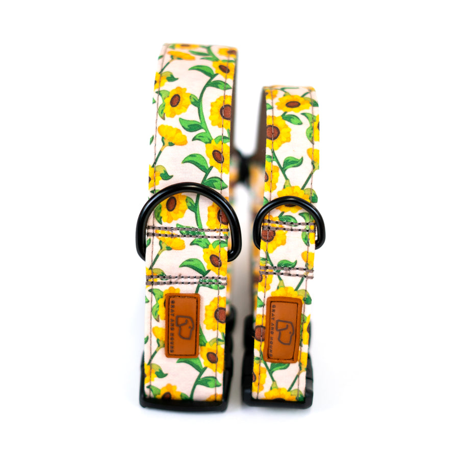 Sunflower Dog Collar