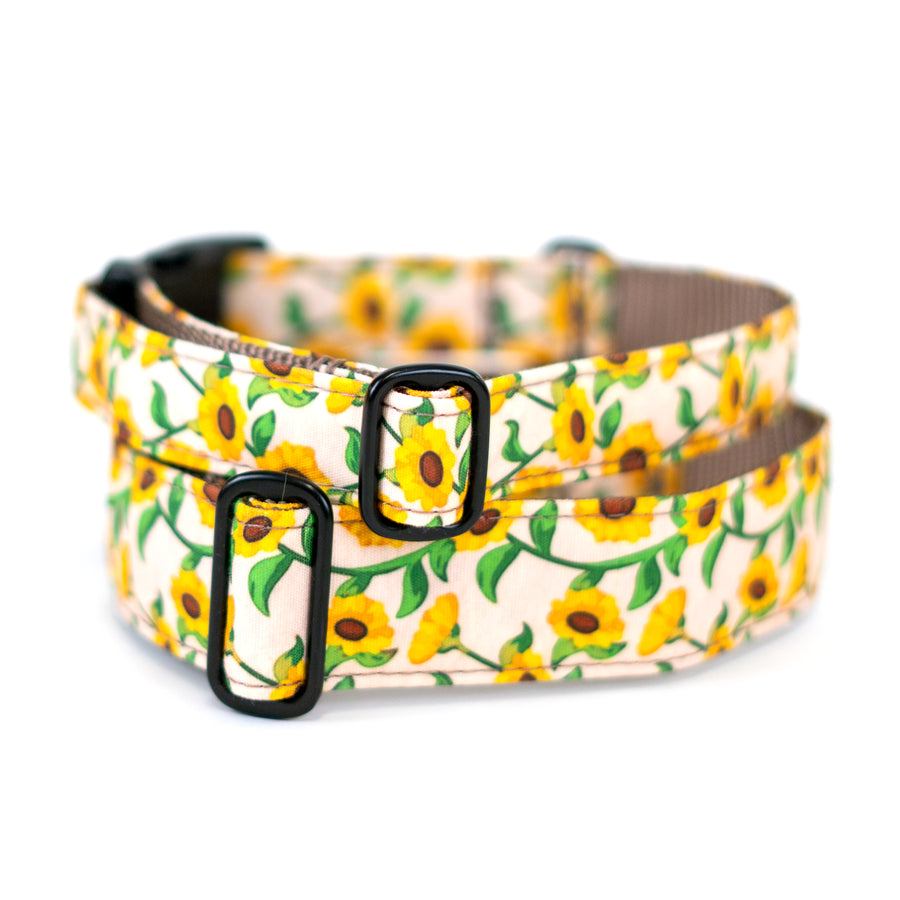 Sunflower Dog Collar