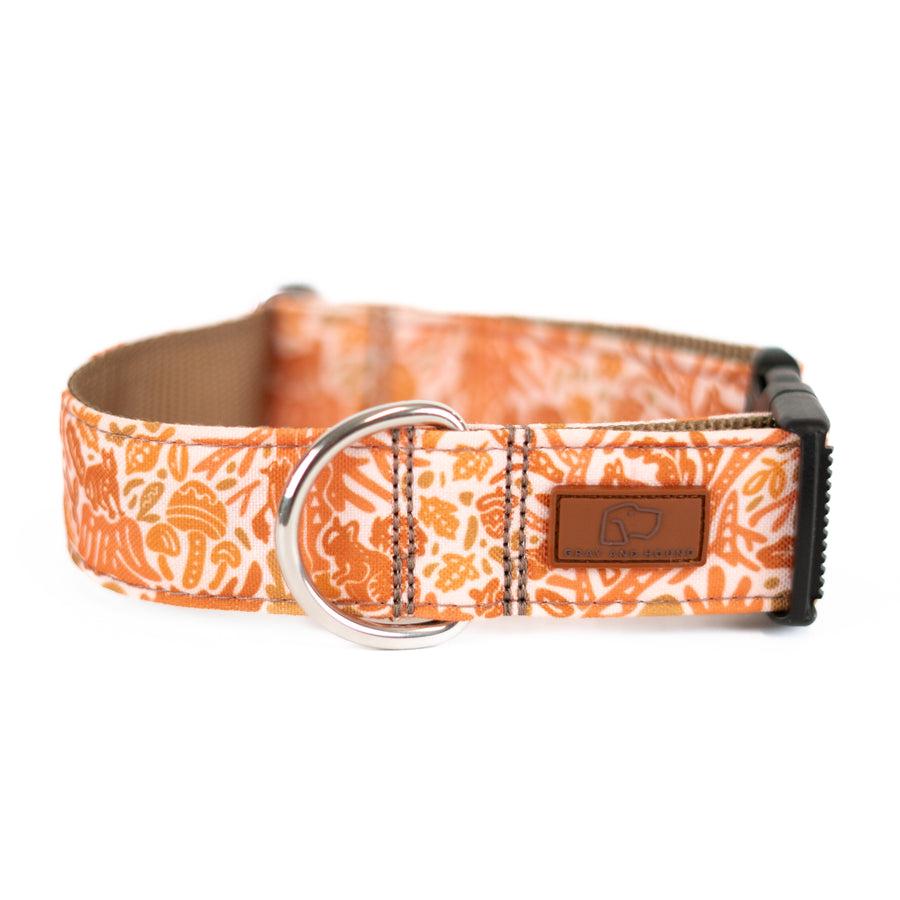 Harvest Squirrel Dog Collar