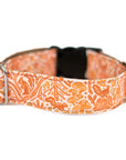 Harvest Squirrel Dog Collar